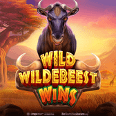 Wild Wildebeest Wins